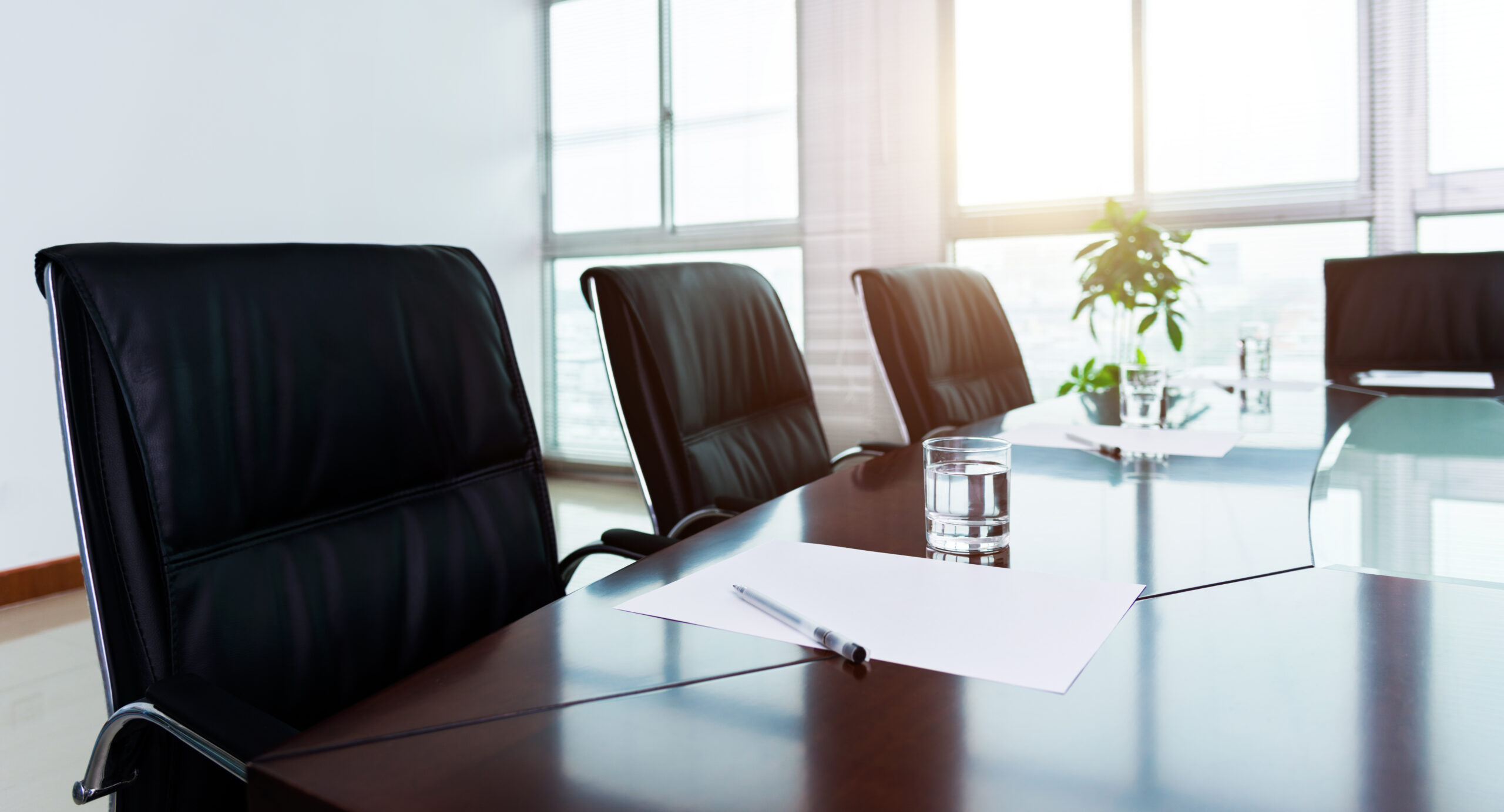 Sunny nonprofit board meeting room with a table, water glasses, and a plant.